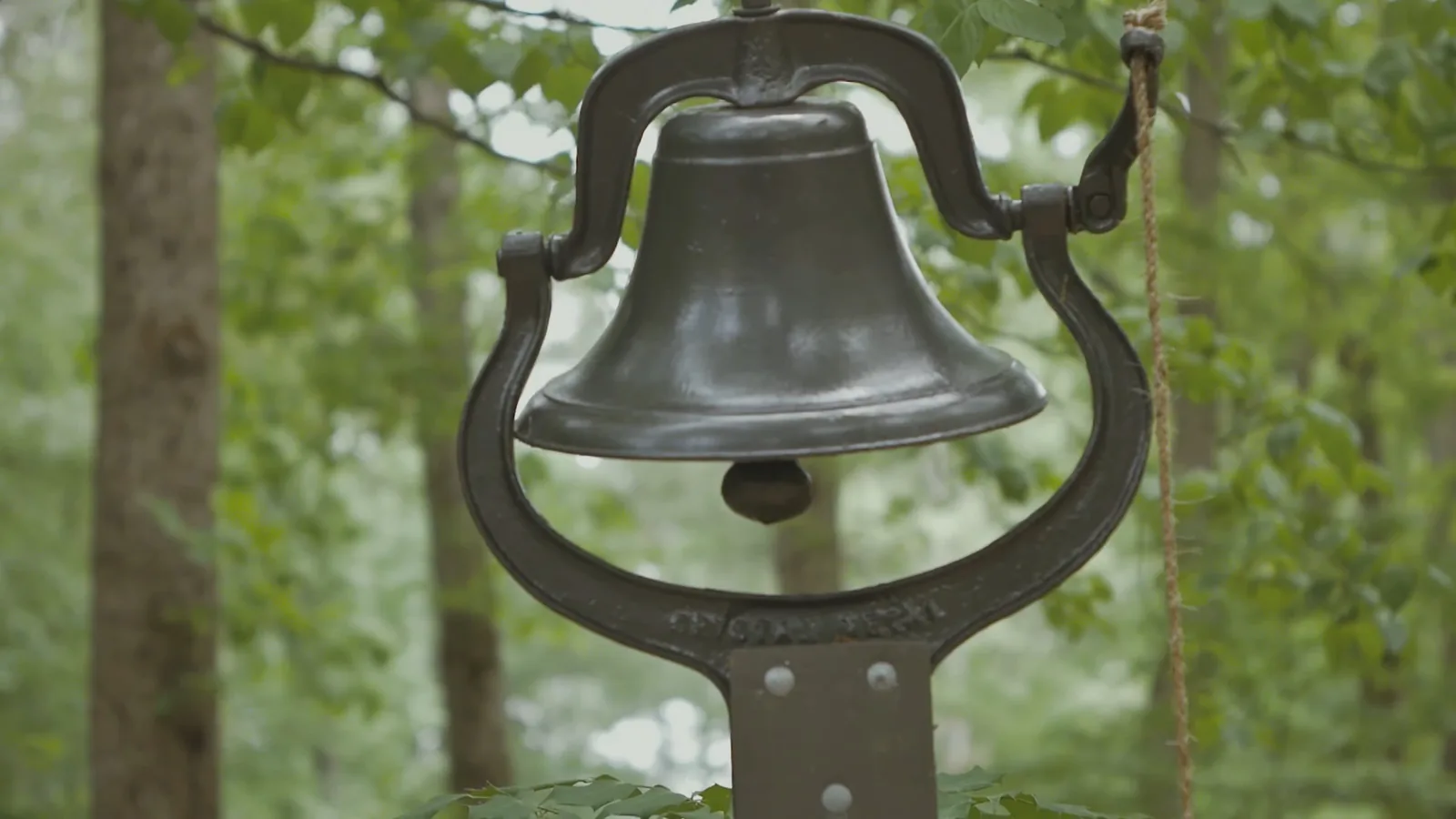Still from Johns Creek Garden Tour