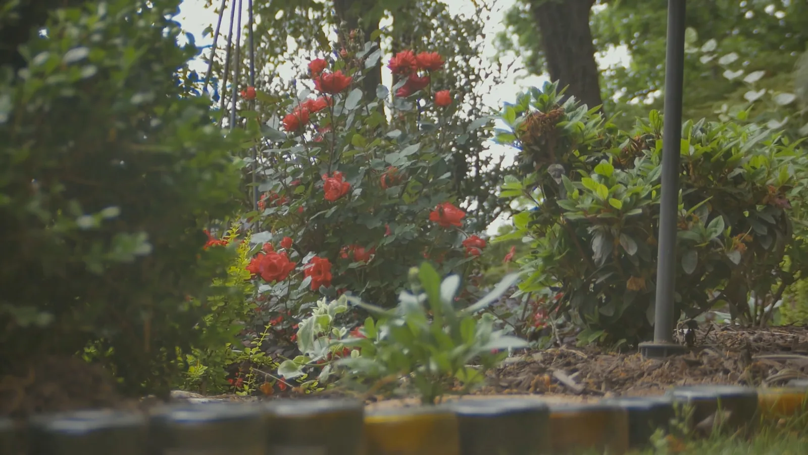 Still from Johns Creek Garden Tour