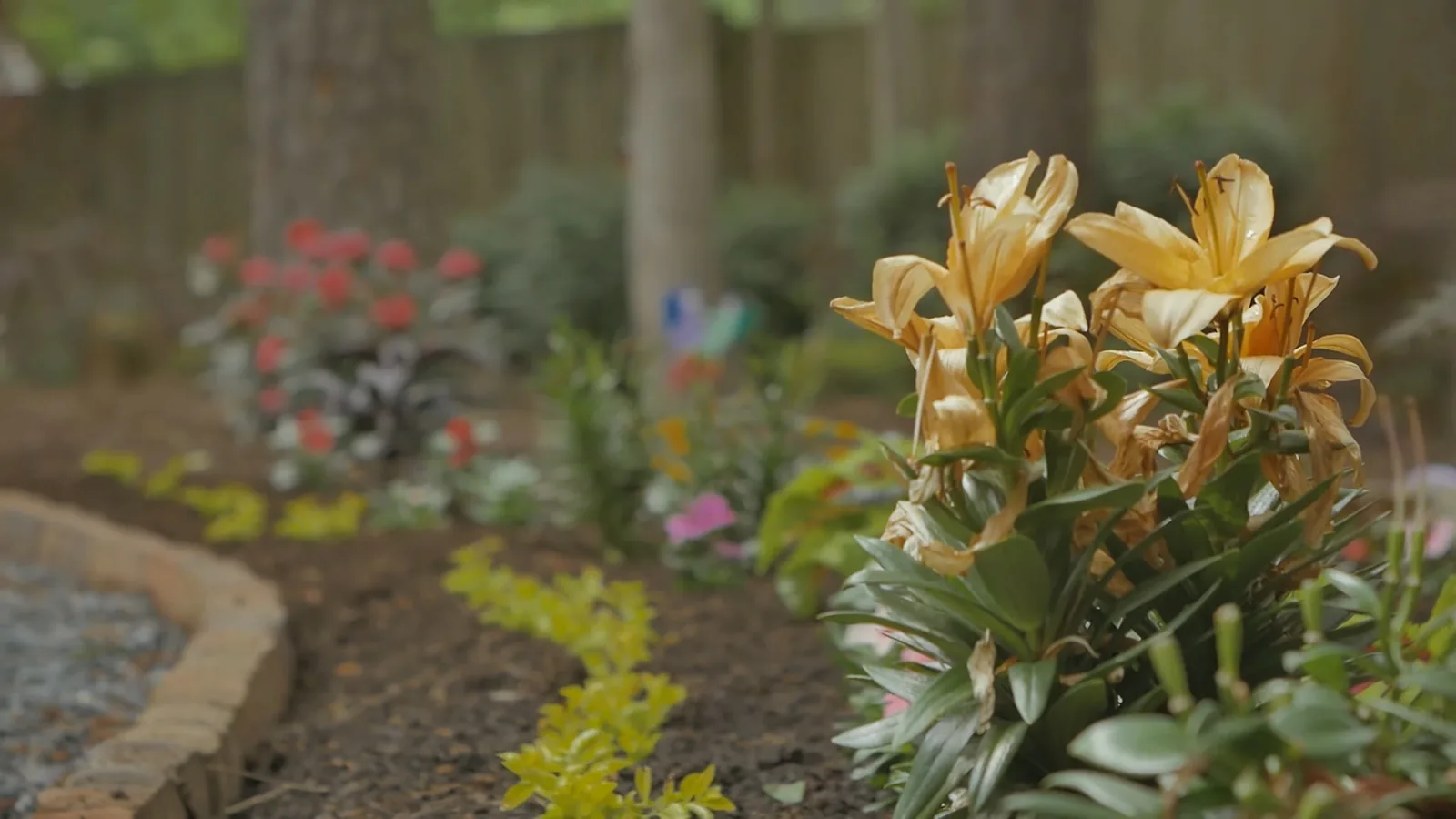 Still from Johns Creek Garden Tour
