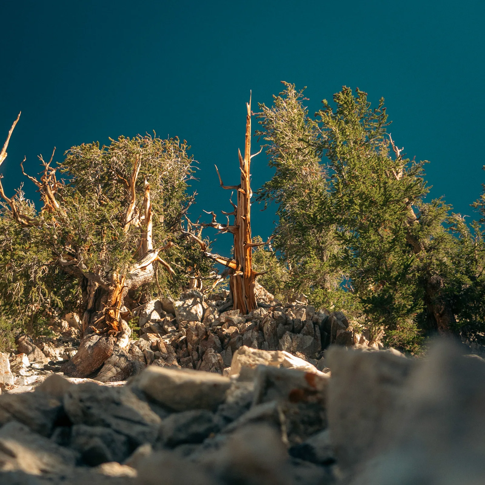 Landscape & Travel photograph by Casey Tebbetts